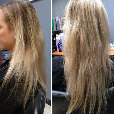 before damaged bleached hair.png